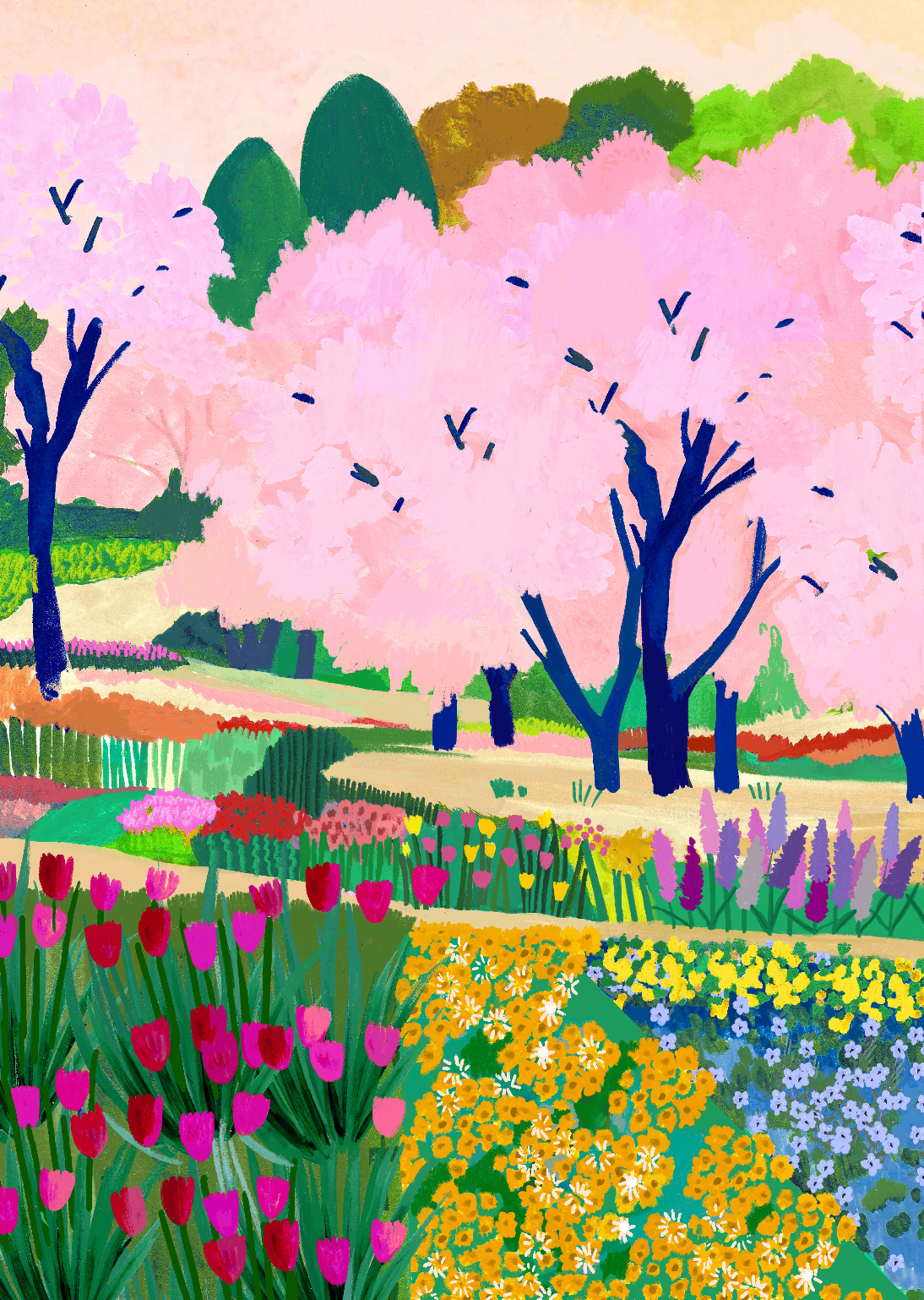 Sakura Trees