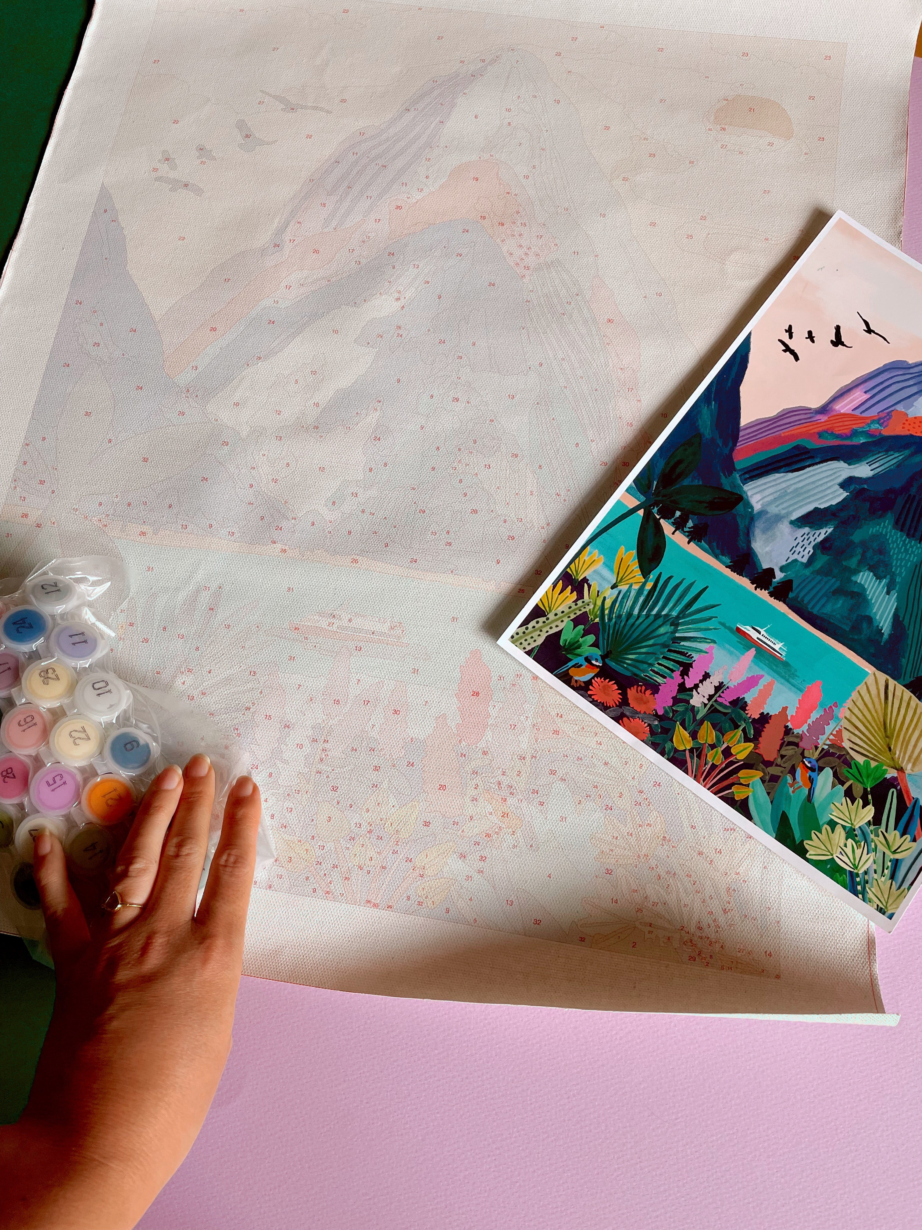 Paint By Numbers kit - Milford Sound